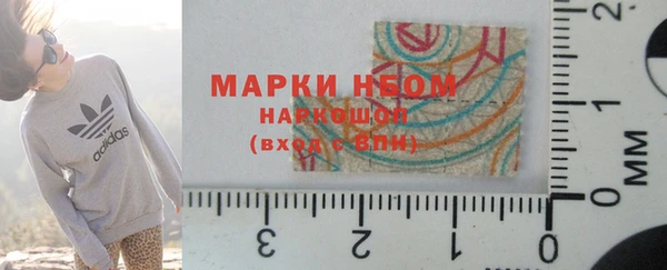 индика Алексин