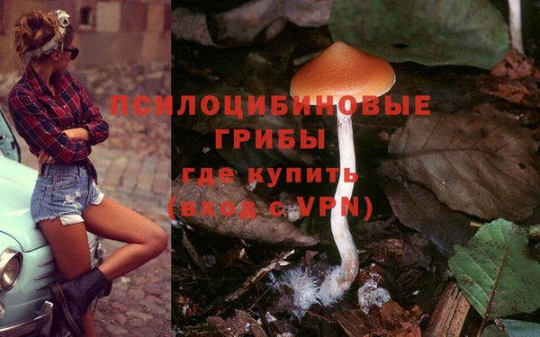 индика Алексин