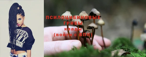 гидра Алзамай