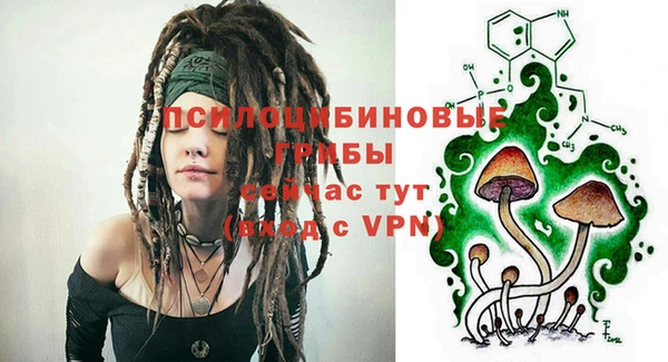 гидра Алзамай