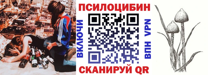 Галлюциногенные грибы GOLDEN TEACHER Щигры